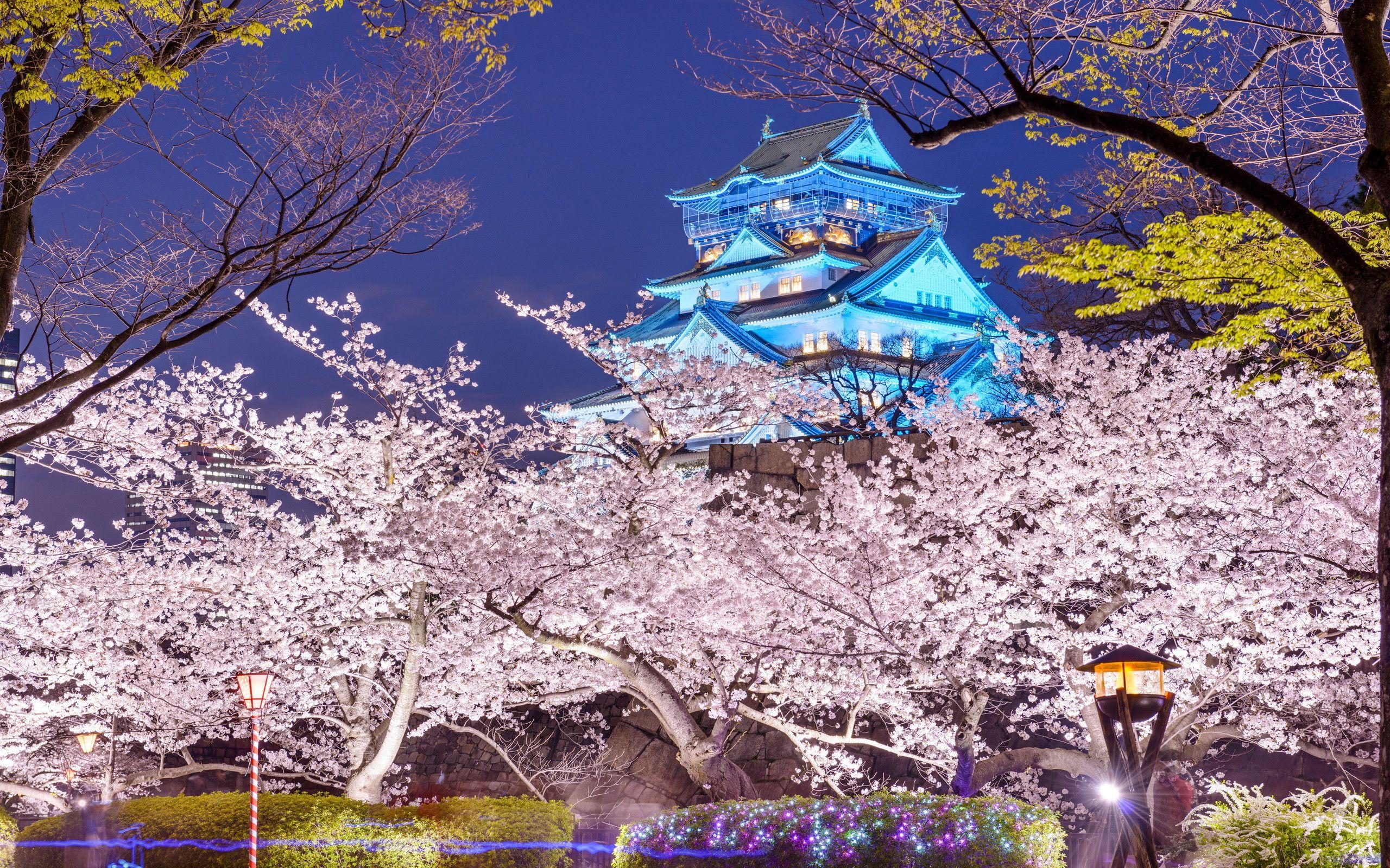 2560x1600 Osaka Wallpaper