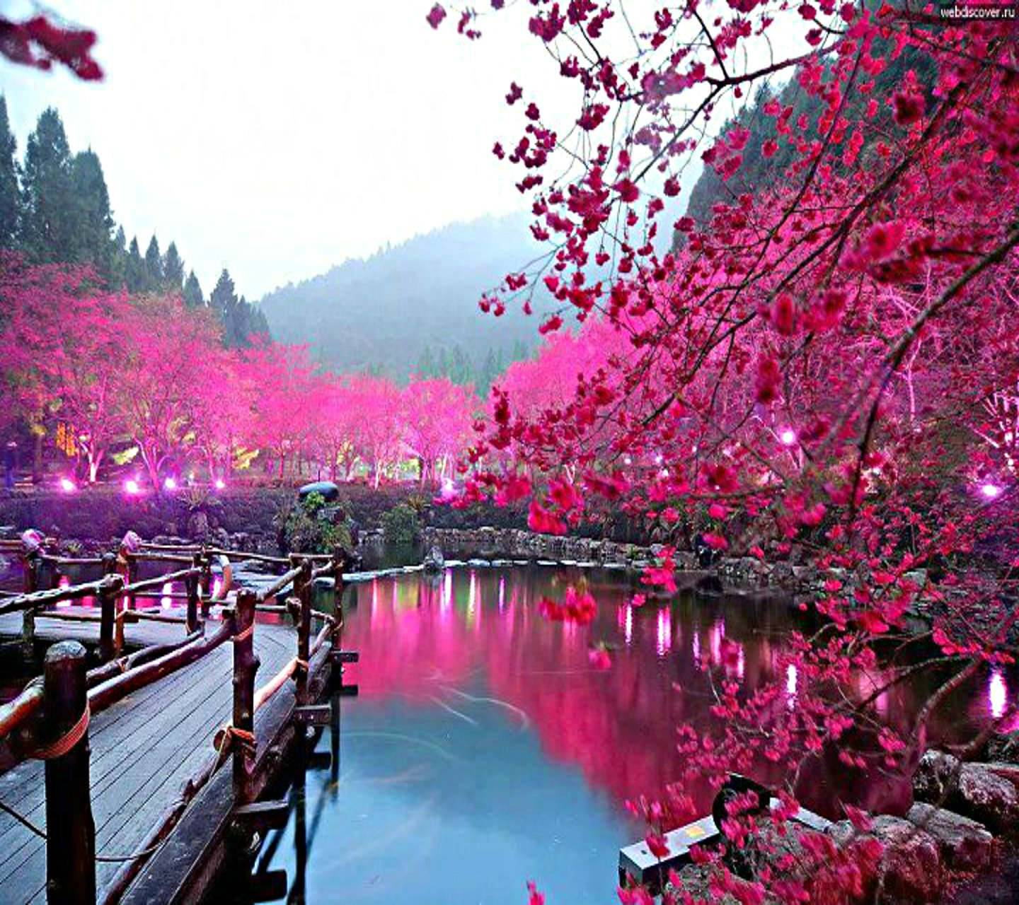 1440x1280 Osaka Japan Wallpaper