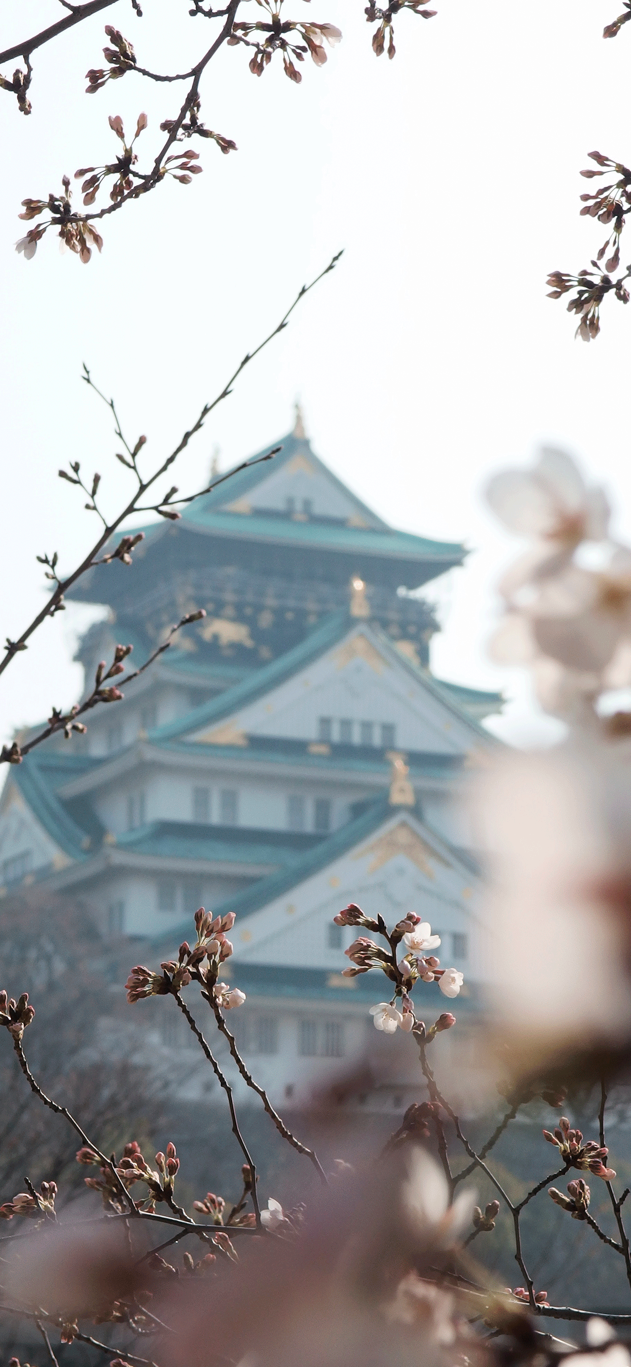 1242x2688 Japan Wallpaper for iPhone X, 6