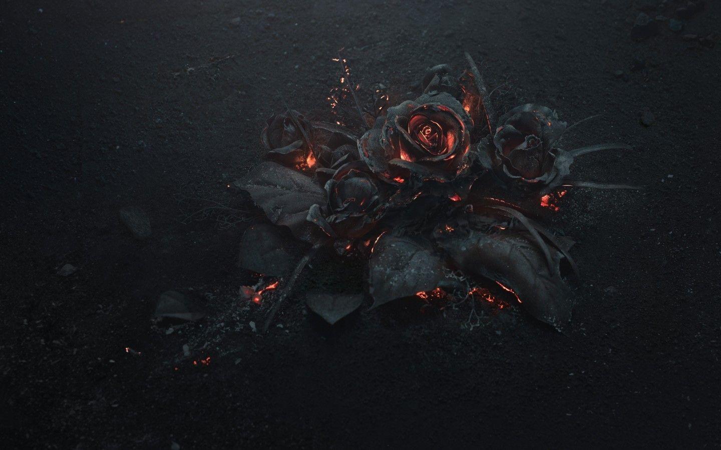 1440x900 Tải xuống 1440x900 Rose Ashes, Fire, Black, Dark Theme