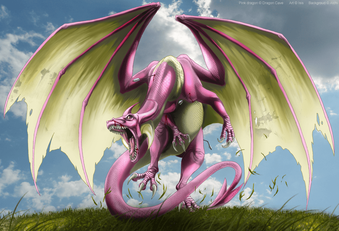 Pink Dragon Wallpapers - Top Free Pink Dragon Backgrounds - WallpaperAccess