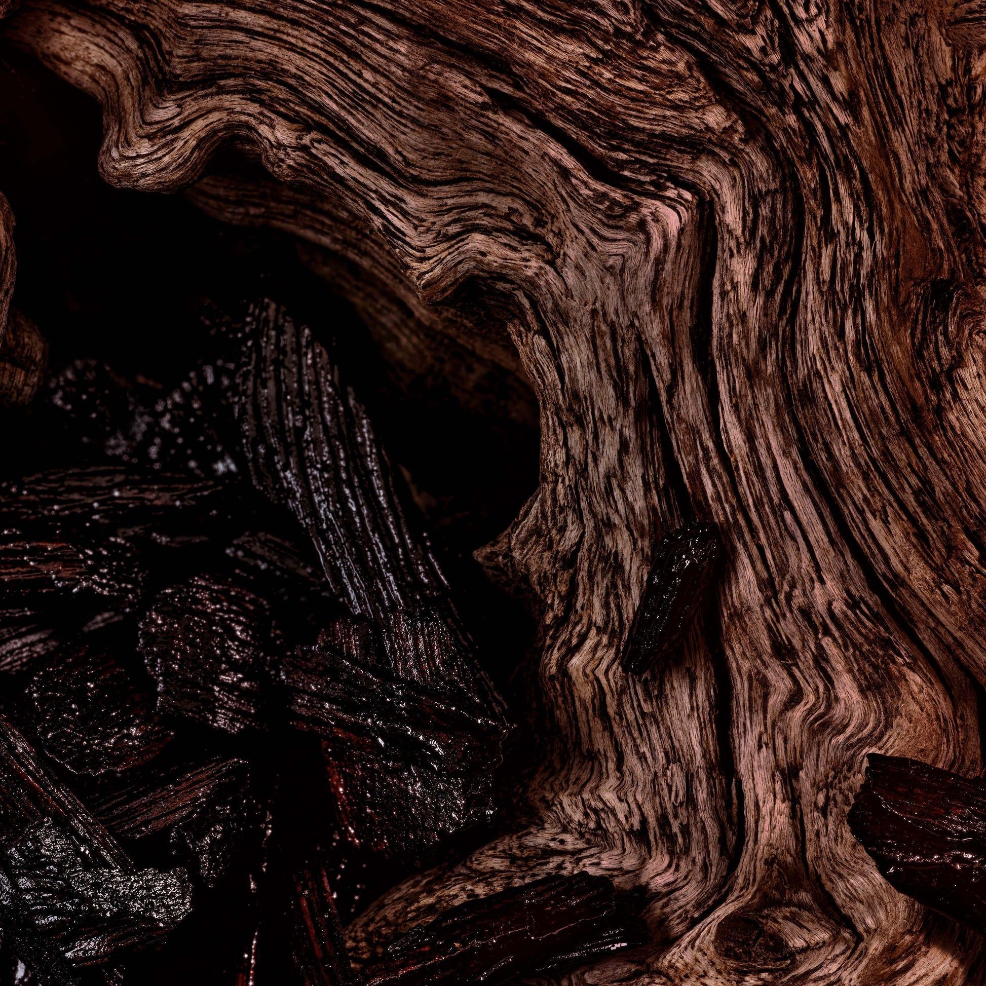 1946x1946 Oud Davana Fragrance