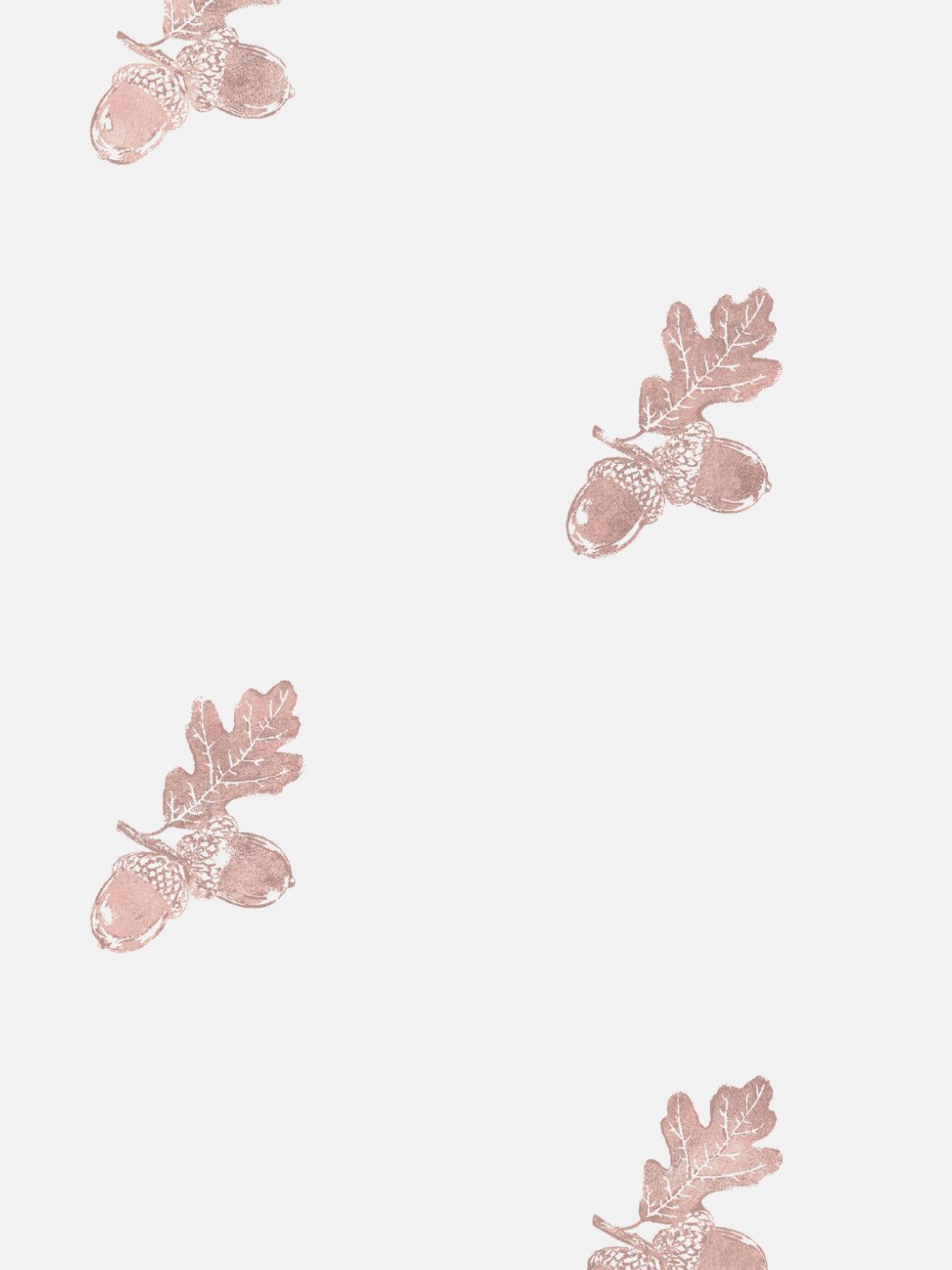 1065x1420 Valley Acorn' Wallpaper