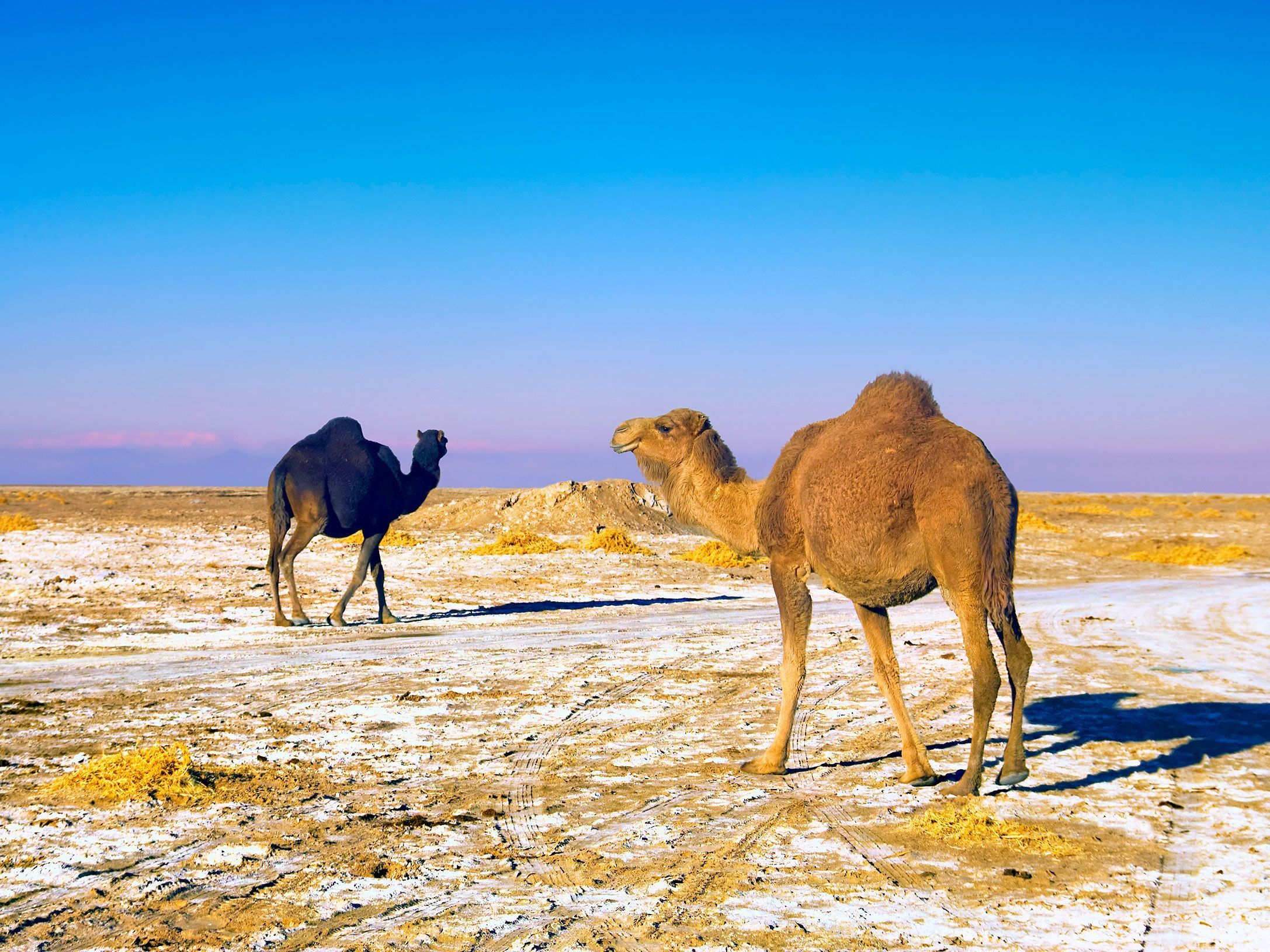 2174x1630 Largest Salt Flats