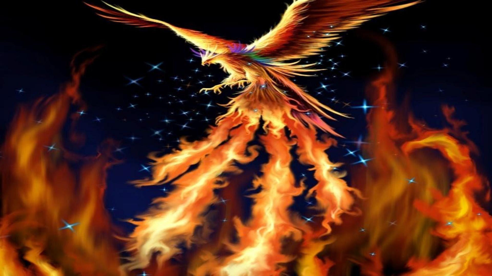 Phoenix Bird HD Wallpapers - Top Free Phoenix Bird HD Backgrounds -  WallpaperAccess