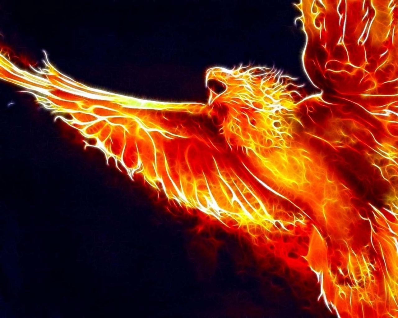 Phoenix Bird HD Wallpapers - Top Free Phoenix Bird HD Backgrounds