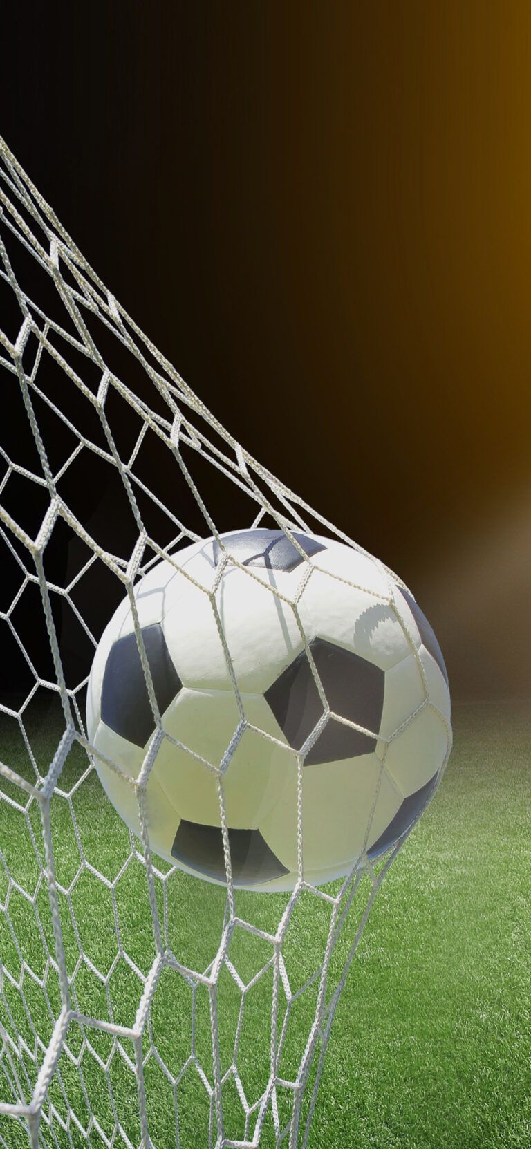 768x1662 Goal