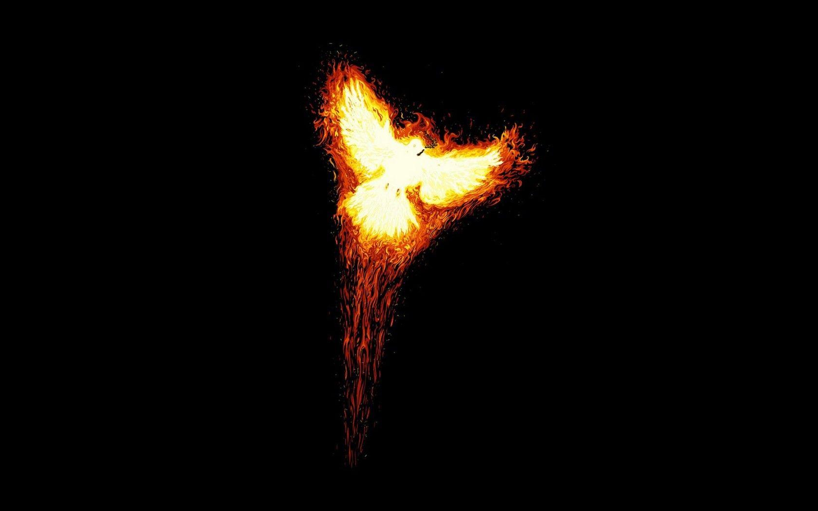 1680x1050 Phoenix Bird HD Wallpaper, Picture