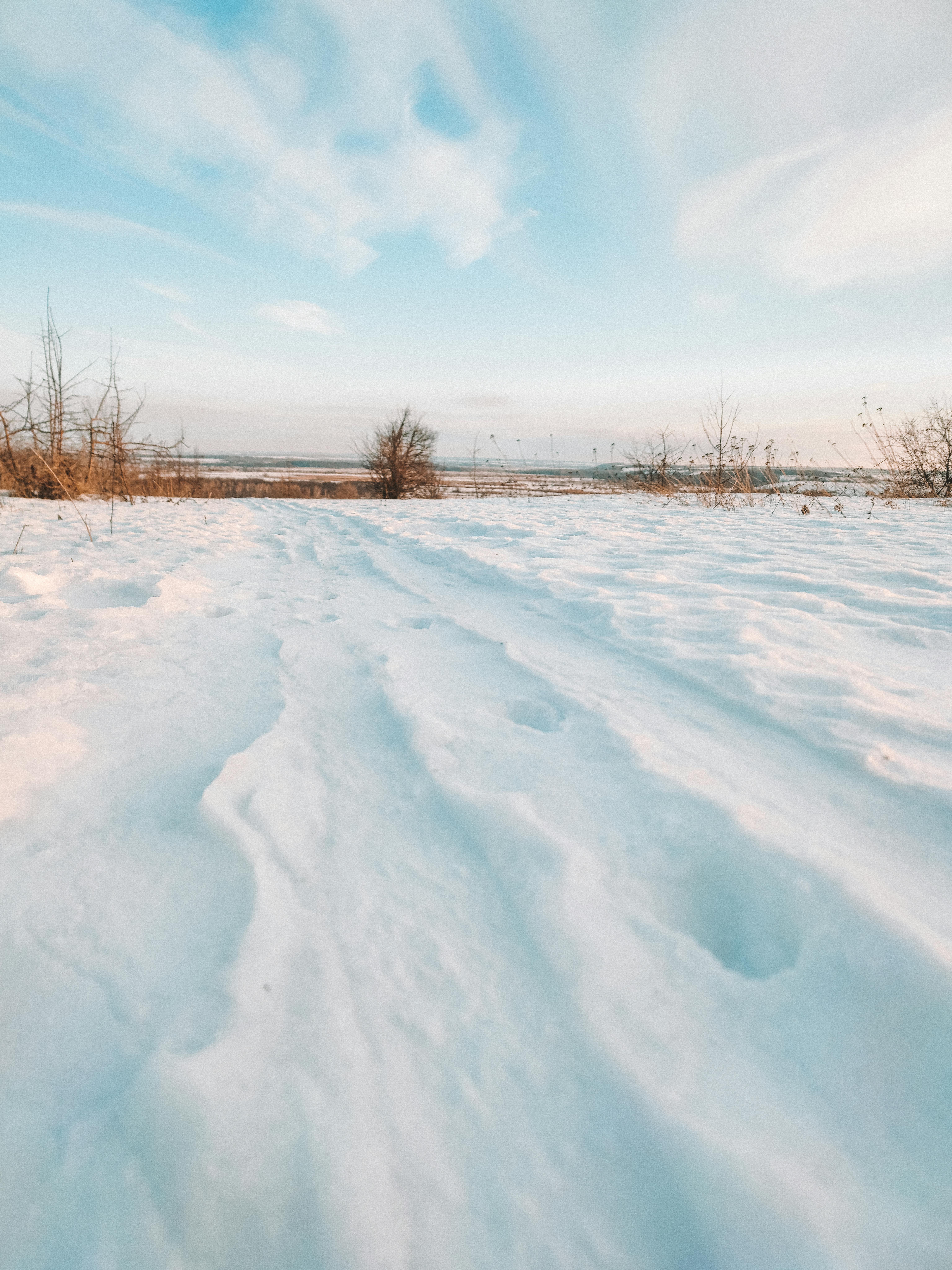 6143x8192 A Snow Covered Field in Winter · Free