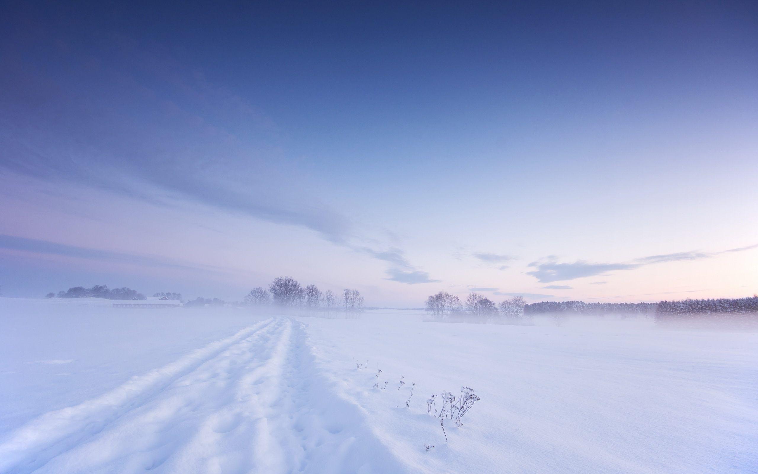2560x1600 Snow Field Wallpaper