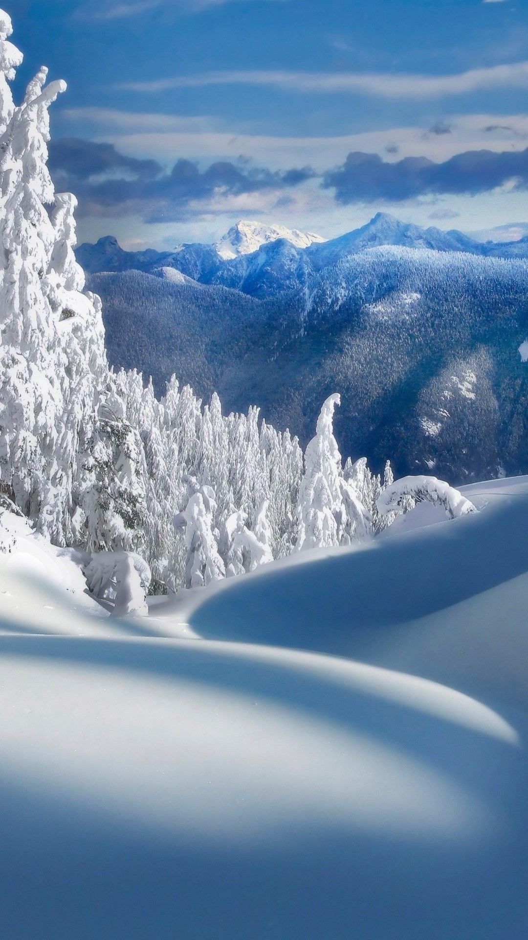 1080x1920 Snow Wallpaper