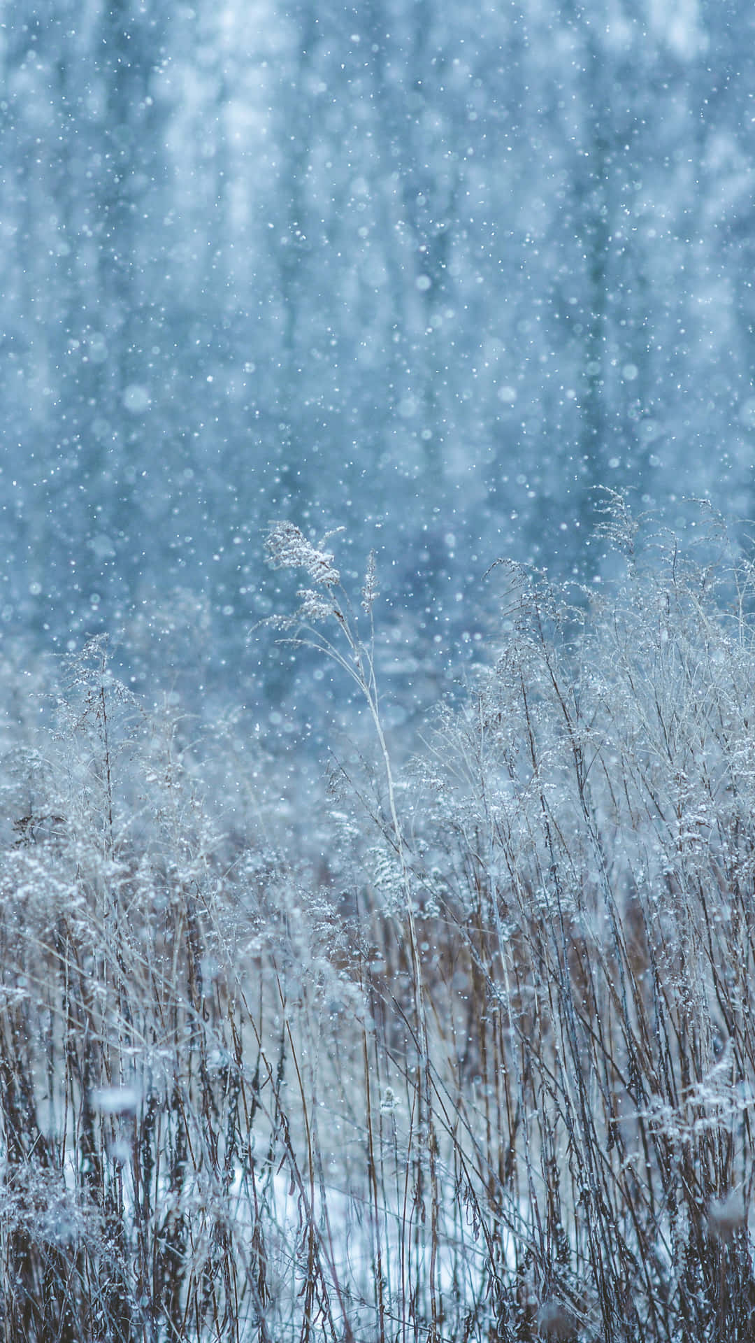 1080x1920 Snow Falling Wallpaper