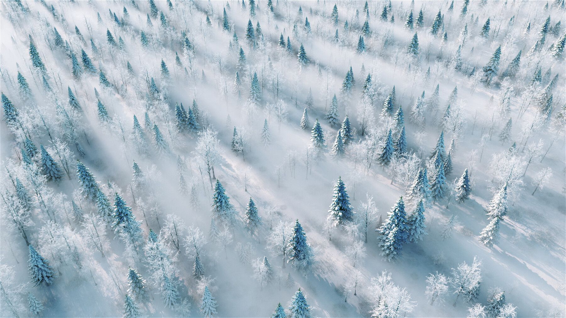 1800x1013 Snow scene overlooking snow mountain
