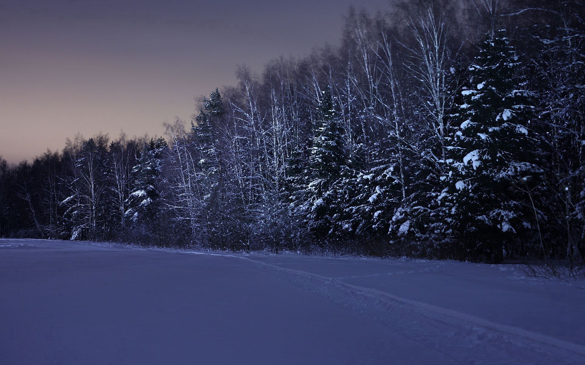 1920x1200 Mobile wallpaper: Snow, Field, Trees