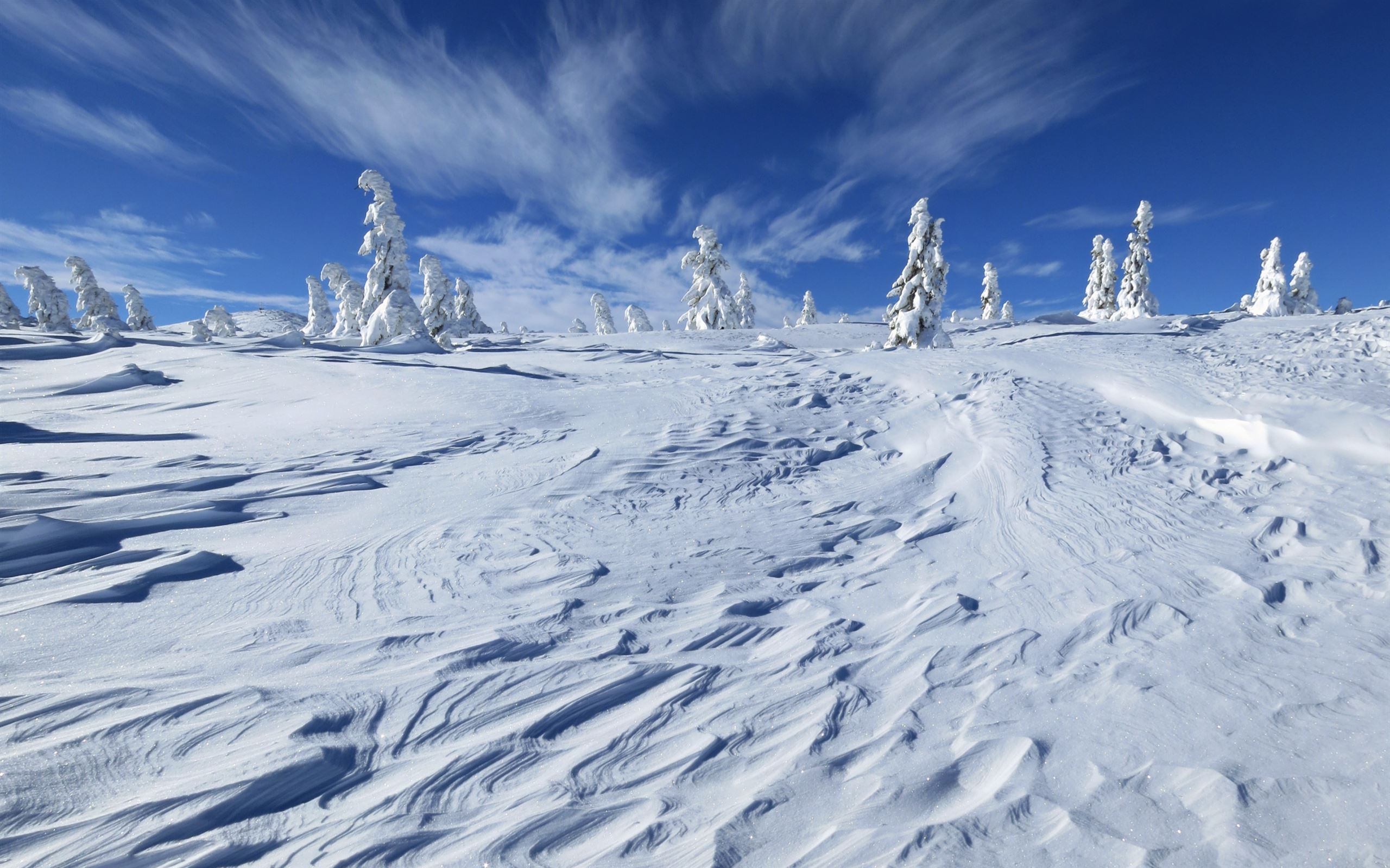 2560x1600 Snow field MacBook Air Wallpaper