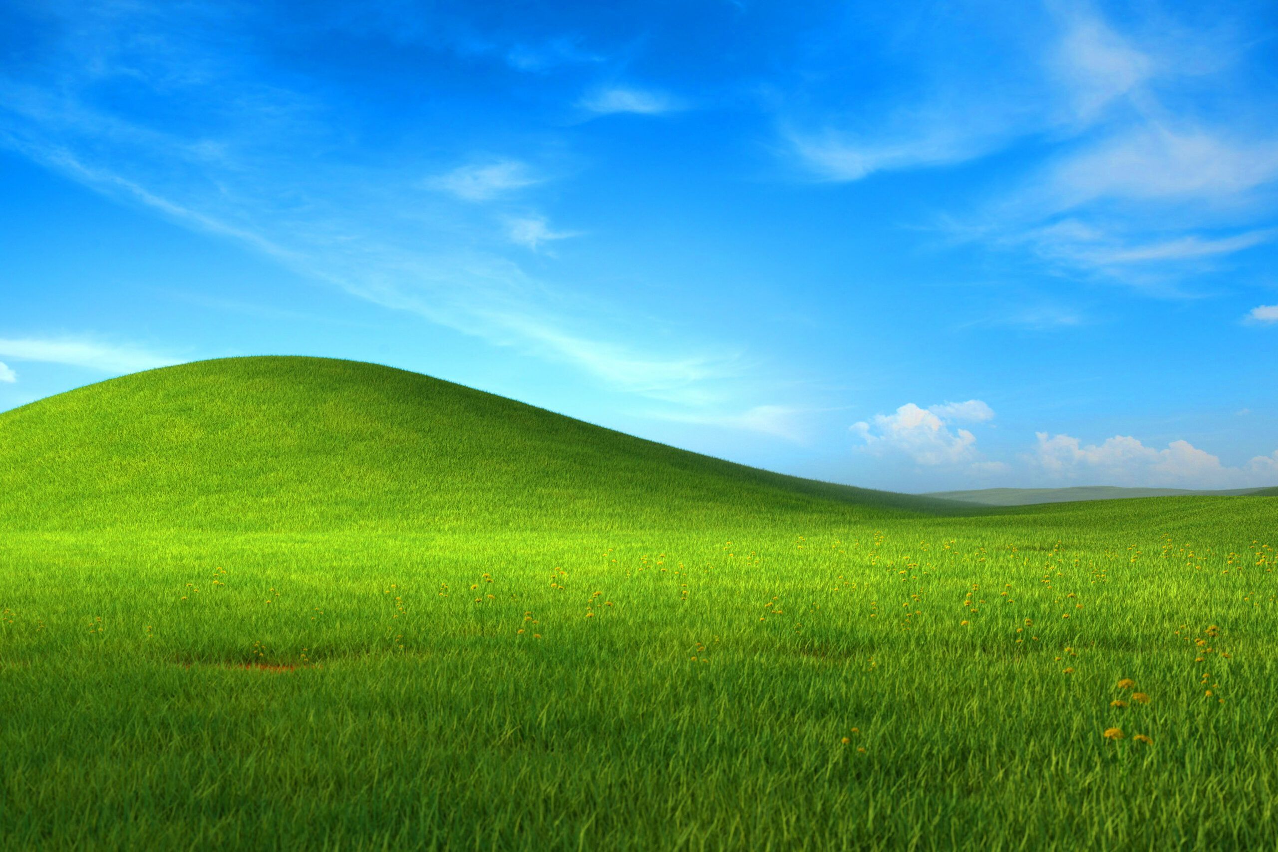 2560x1707 Download Windows XP 4K wallpaper Bliss