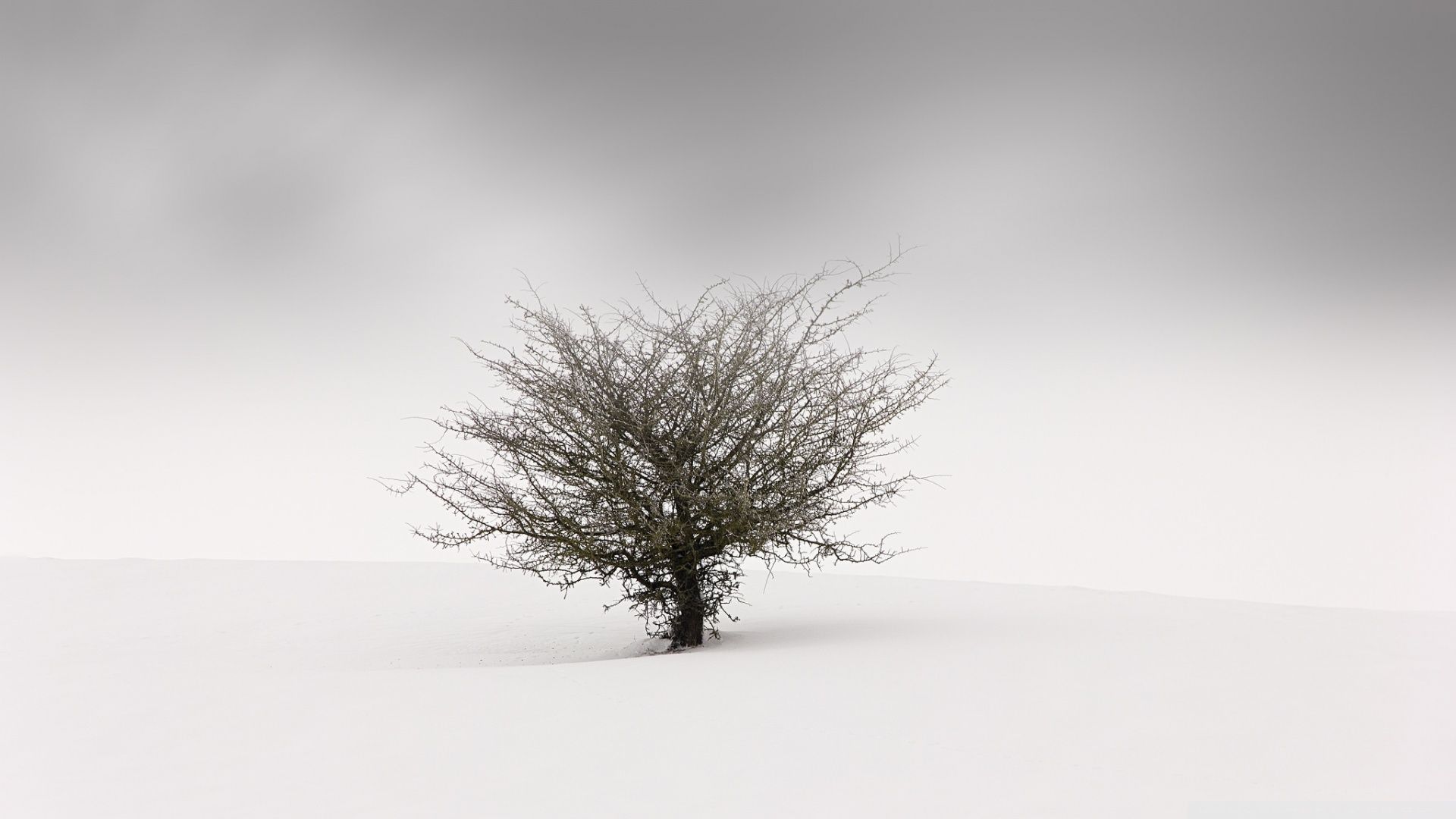 1920x1080 Snow Field Ultra HD Wallpaper