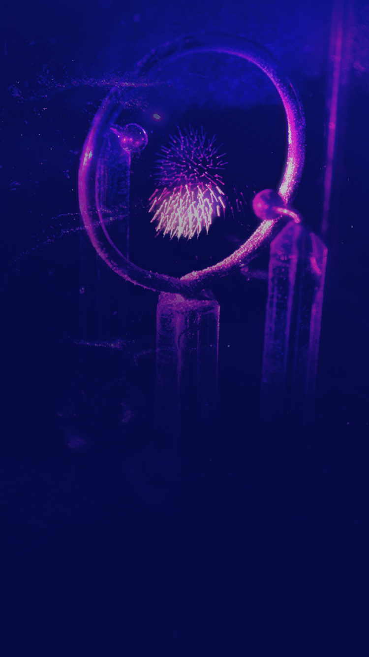 Qt Wallpapers - Top Free Qt Backgrounds - WallpaperAccess