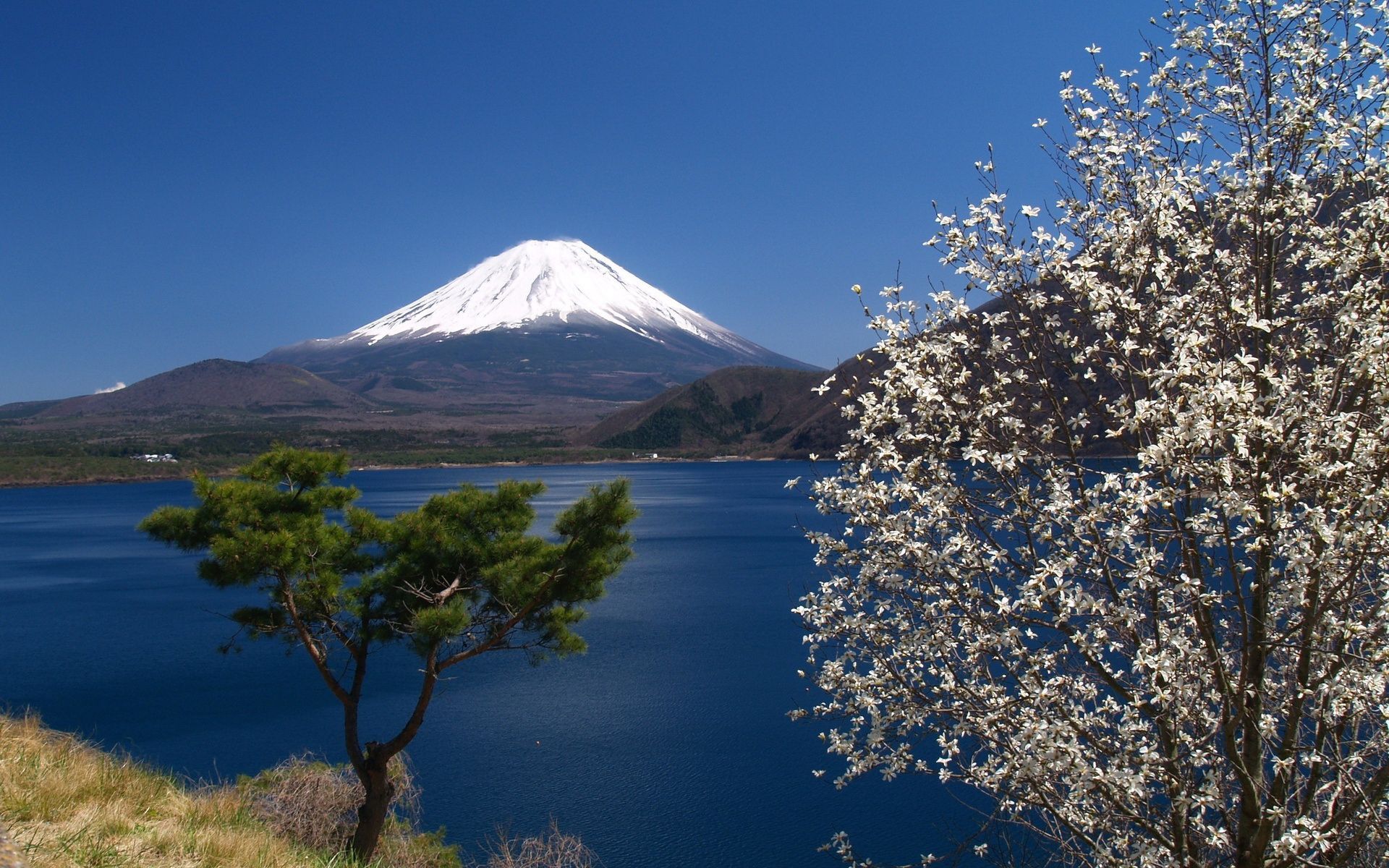 1920x1200 Mount Fuji Wallpaper