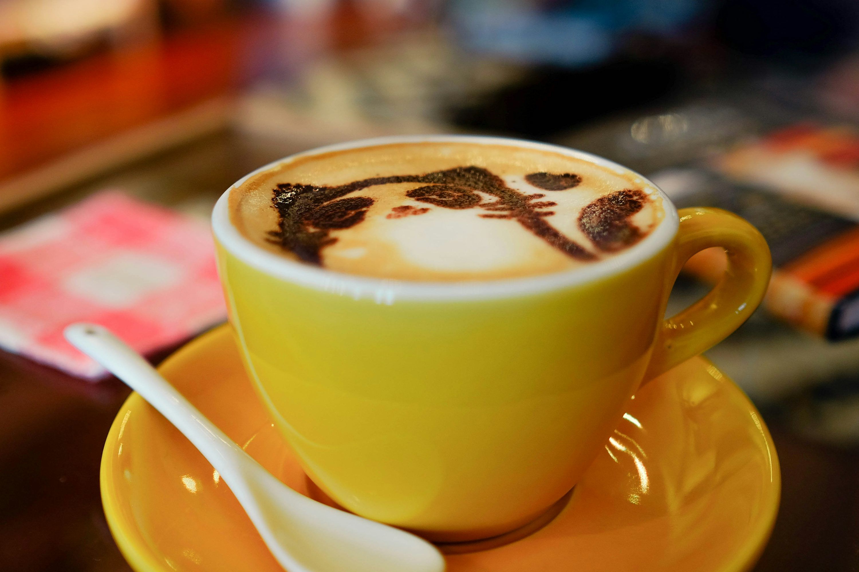3000x2000 Cat Coffee Picture. Download Free