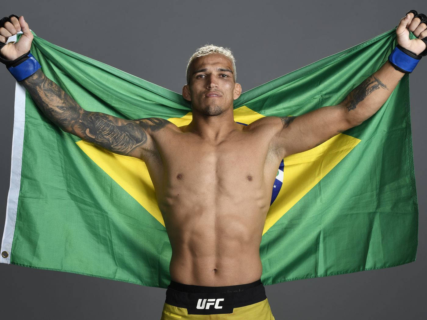 1400x1050 Download Charles Oliveira Holding