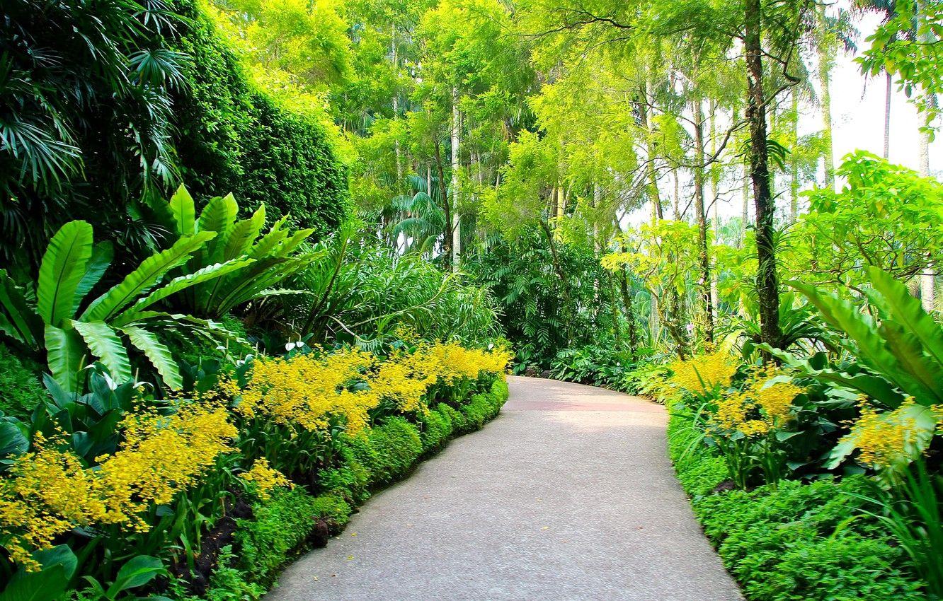 1332x850 Wallpaper greens, trees, garden, track, Singapore, alley