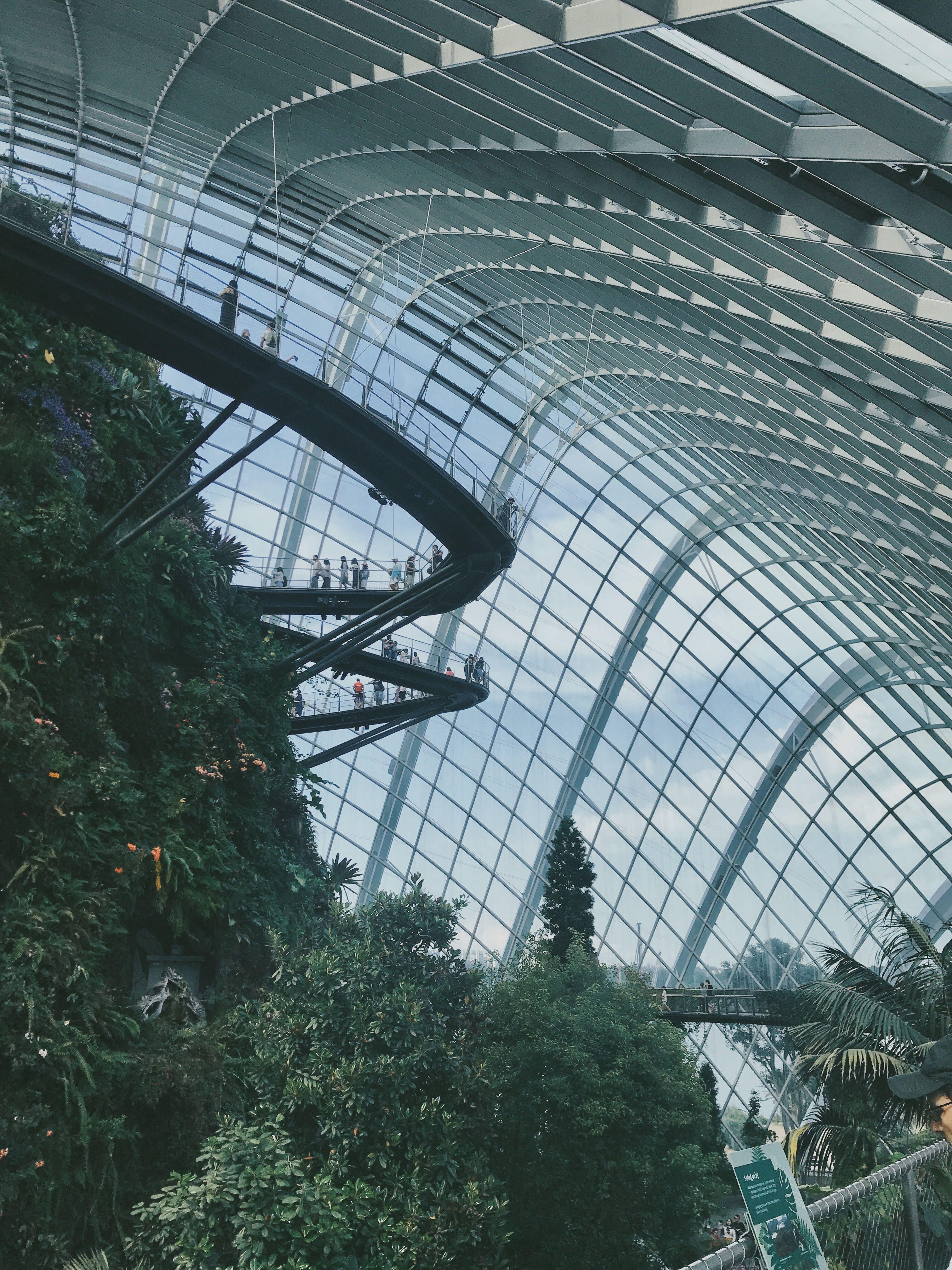 3024x4032 Cloud Forest and Flower Dome Gardens by the Bay Singapore