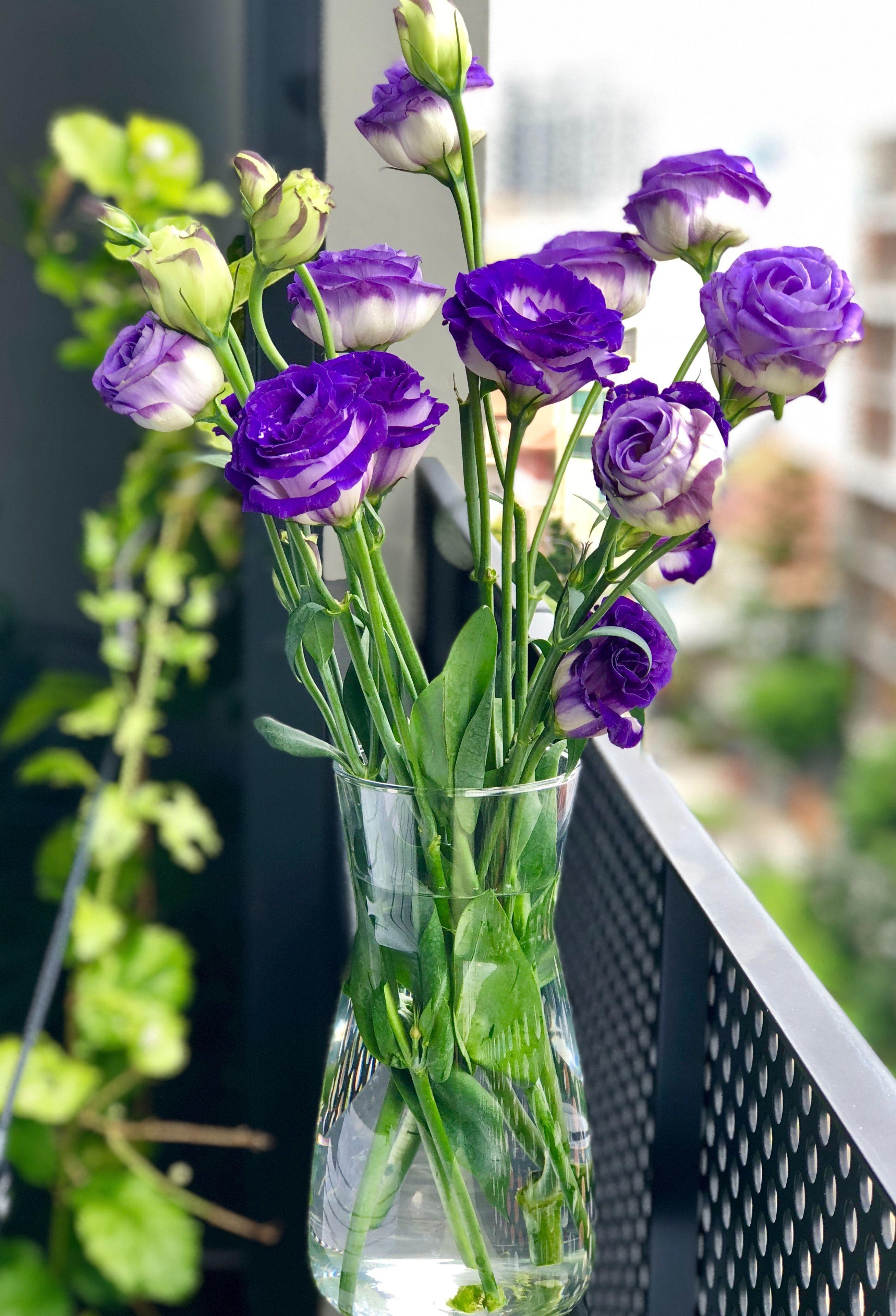 2614x3838 Close Up Photography Flowers In A Vase · Free