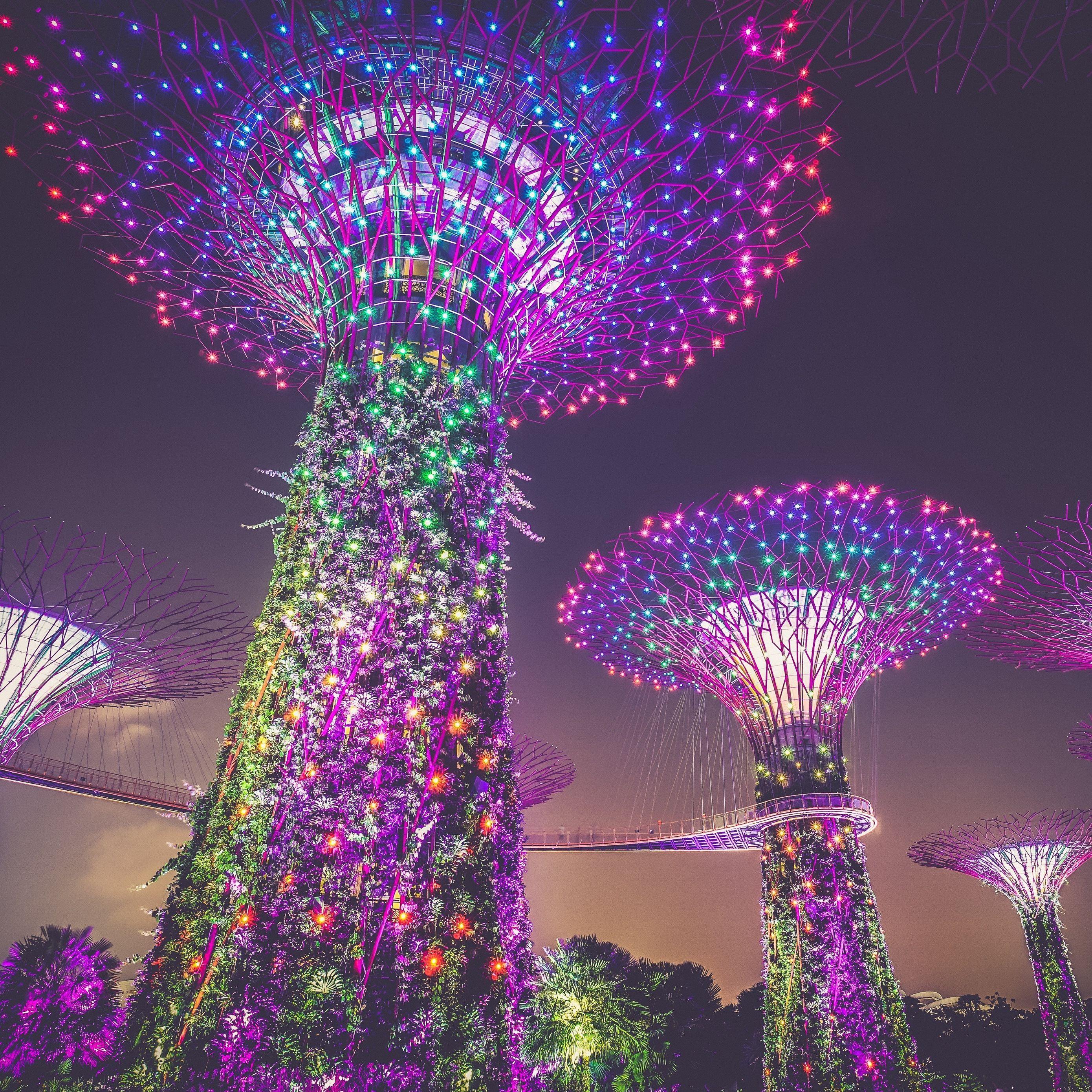 2780x2780 Download wallpaper 2780x2780 singapore, artificial trees