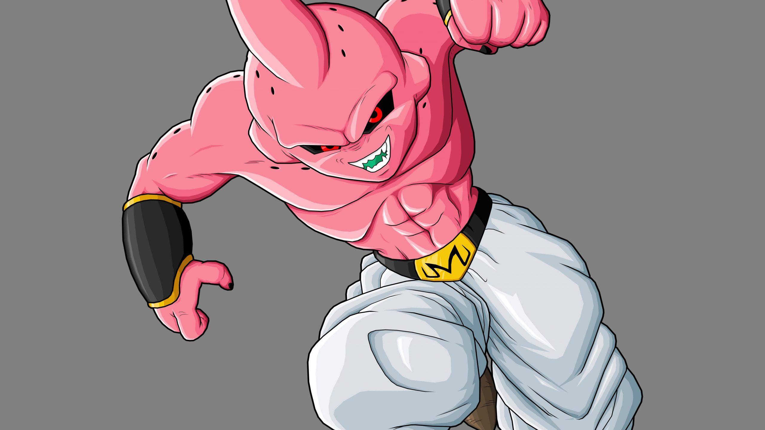 2560x1440 Kid Buu Dragon Ball Z Walldevil | Anime Wallpaper