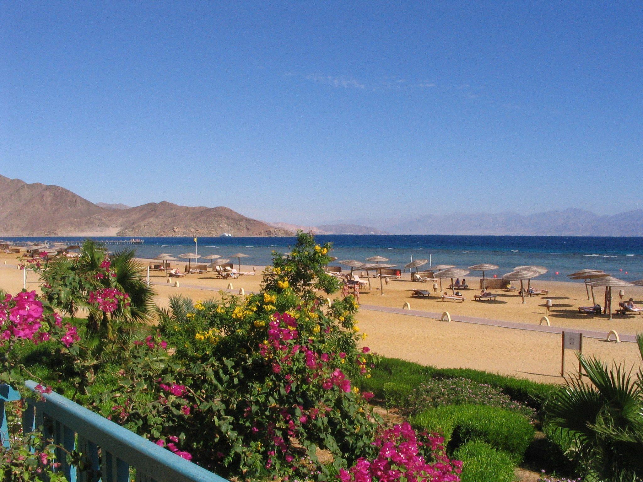 2048x1536 Flowers on the beach in the resort of Taba, Egypt wallpaper
