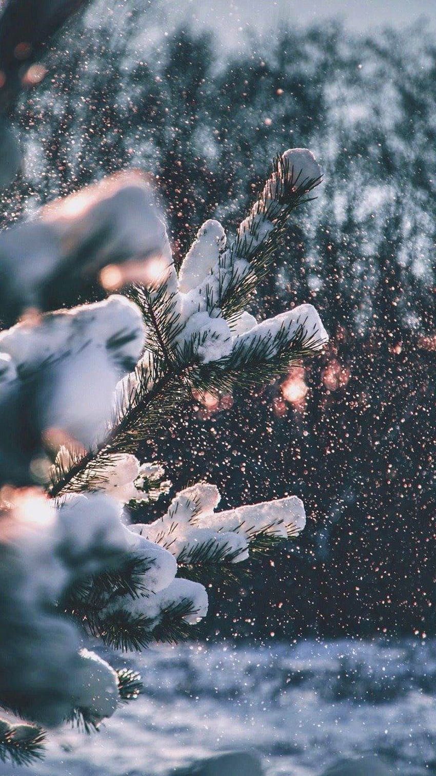850x1511 Aesthetic 2025 winter wallpaper