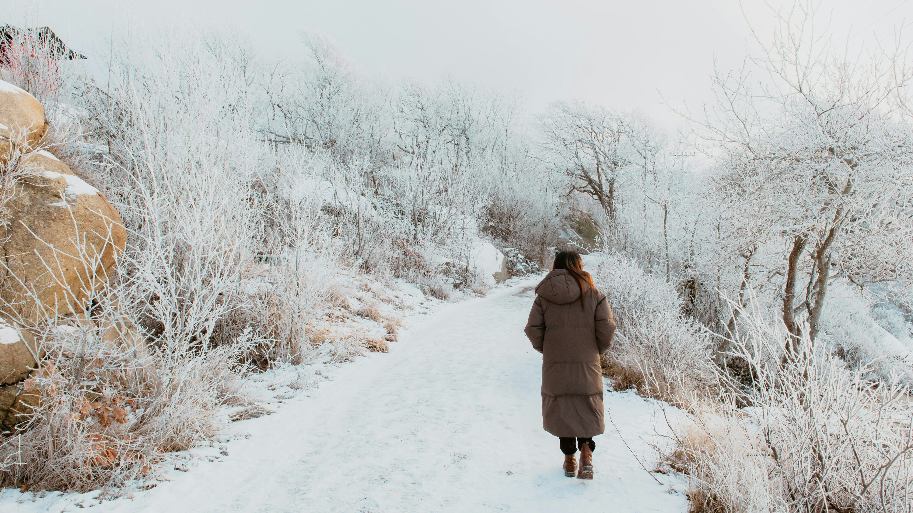 3000x1688 Cozy Winter Picture. Download Free