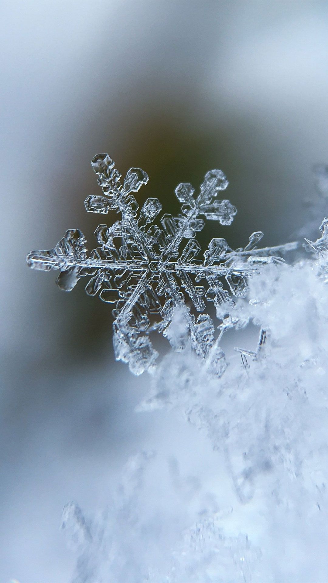 1080x1920 Cozy Winter Wallpaper 2021 for Apple