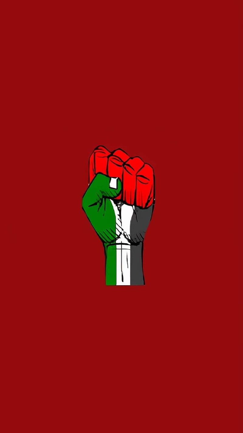 800x1424 arab, palestine, HD phone wallpaper