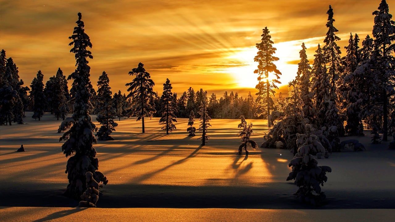 1280x720 12K Wallpaers Videos: Download