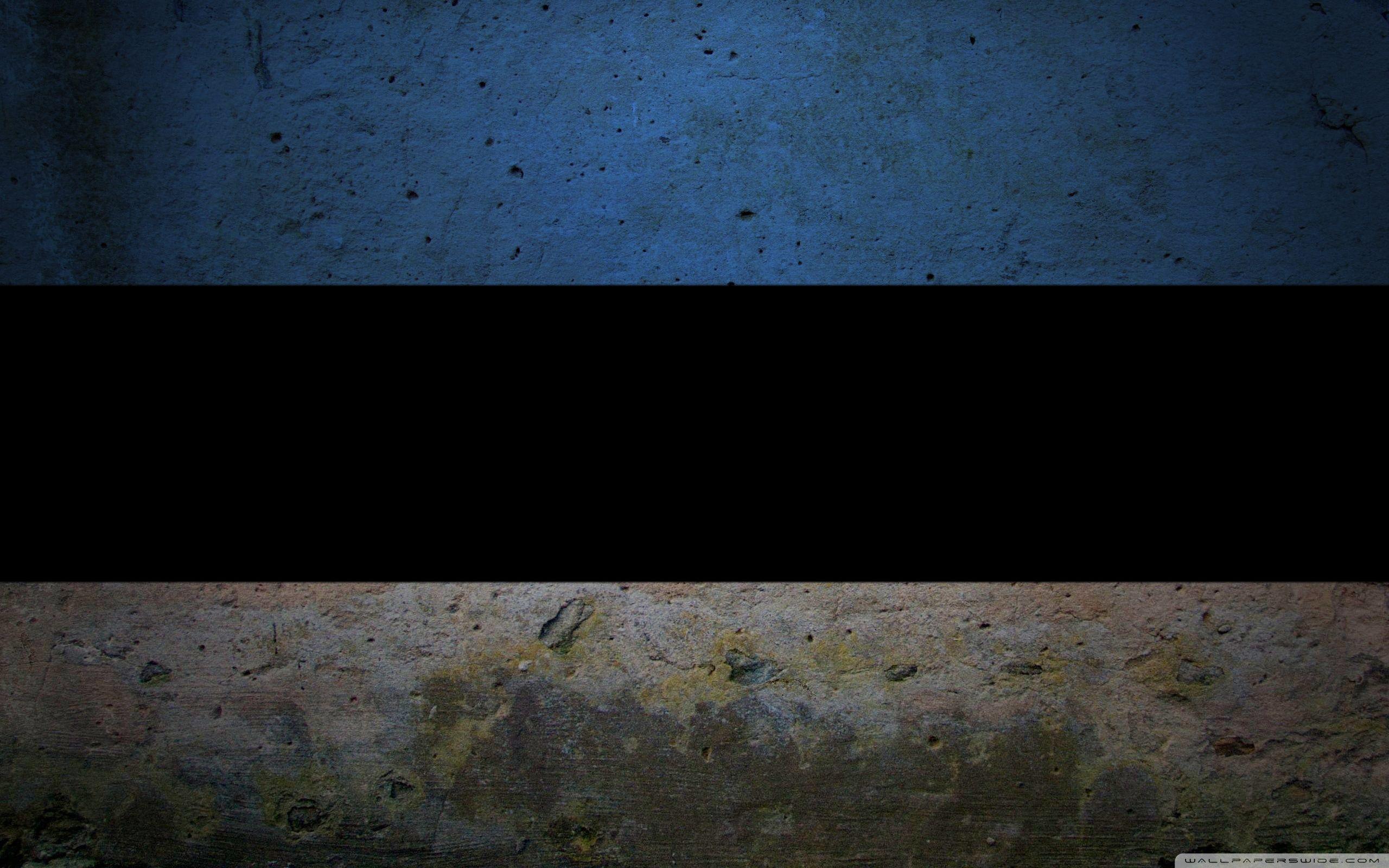 2560x1600 Grunge Flag Of Estonia ❤ 4K HD Desktop Wallpaper for 4K