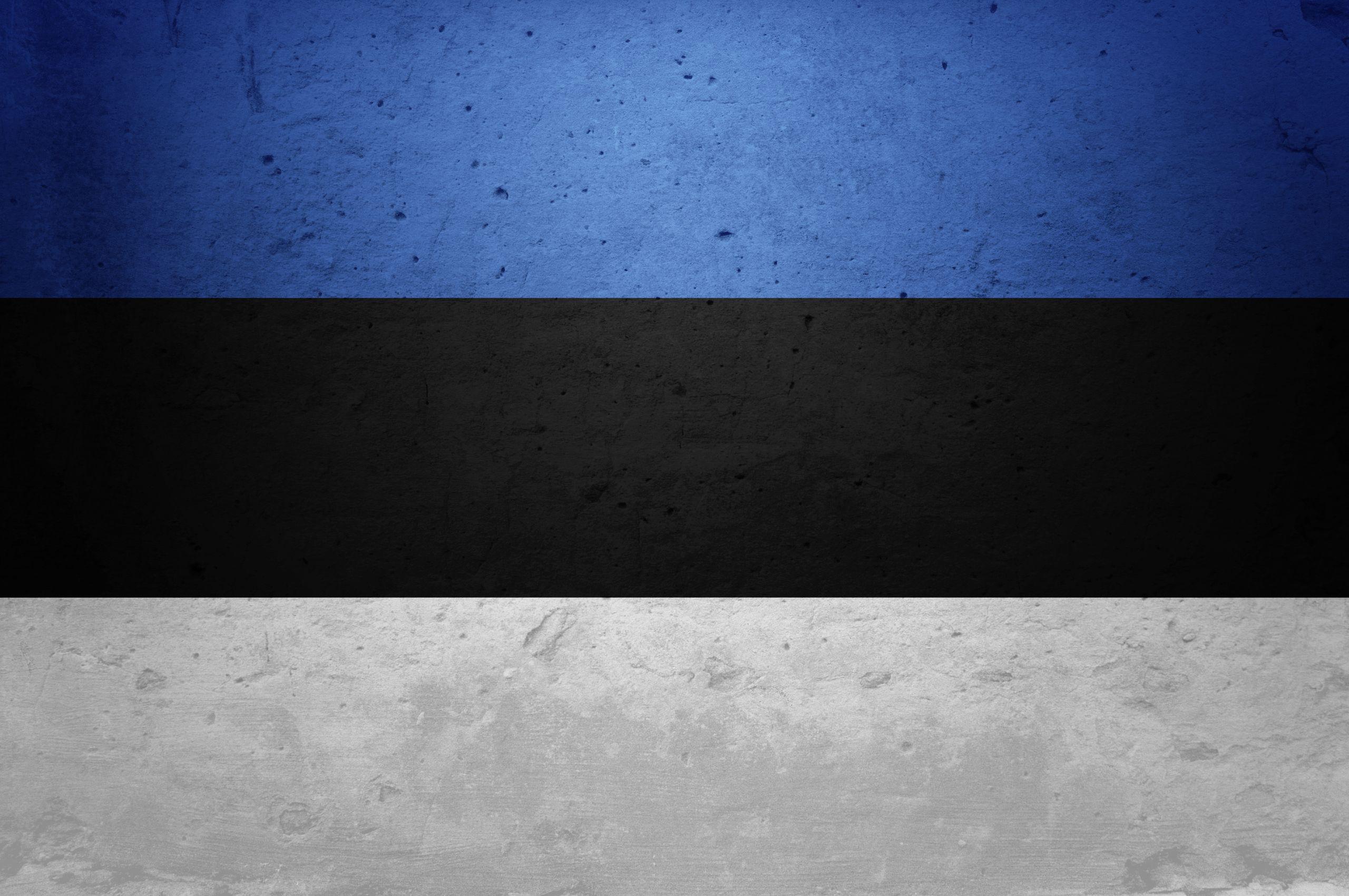 2560x1700 Flag Of Estonia Wallpaper