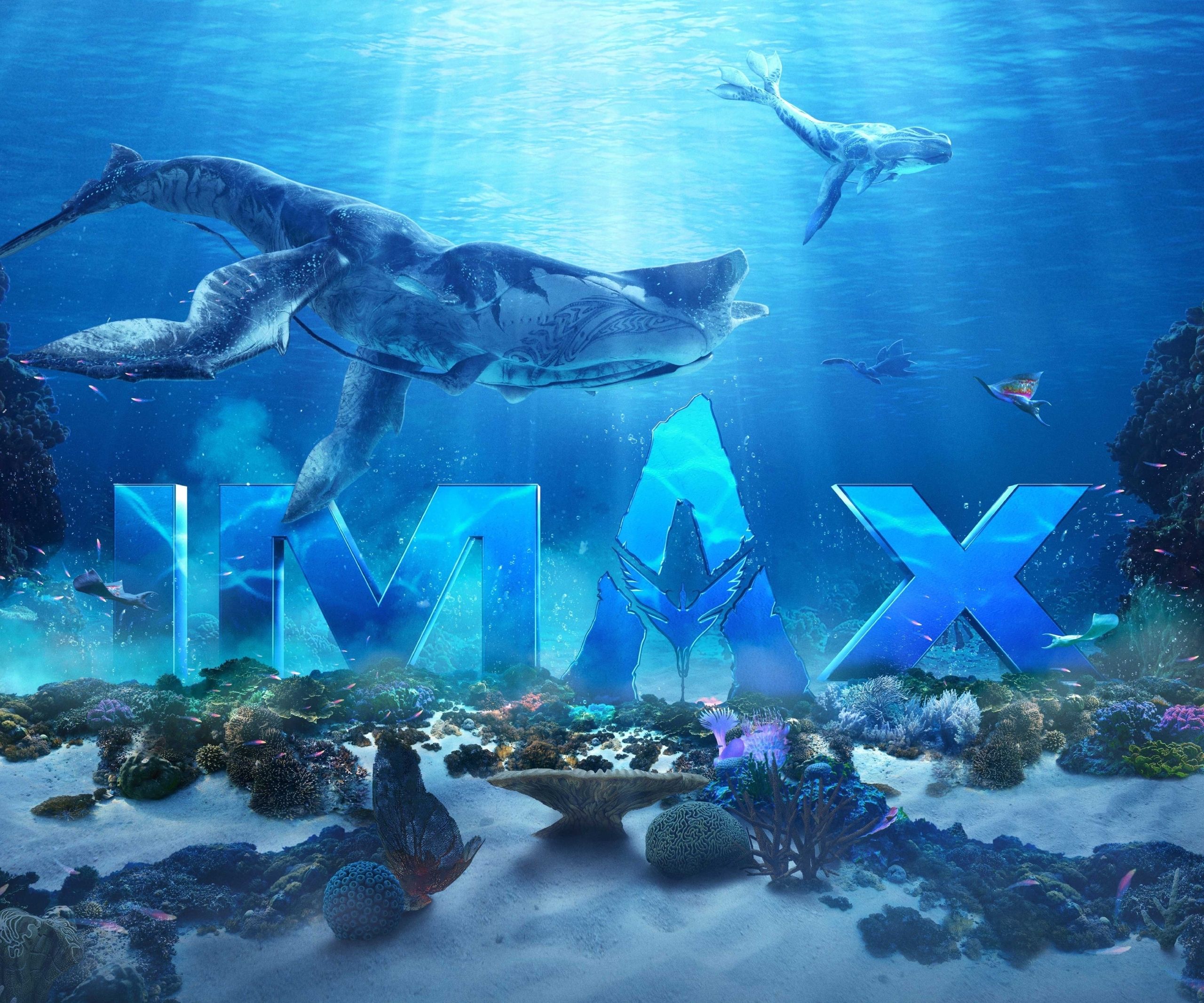 2560x2133 Water HD IMAX Poster Wallpaper