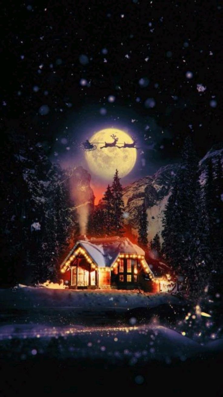 736x1309 Christmas cottage #christmas #grinch