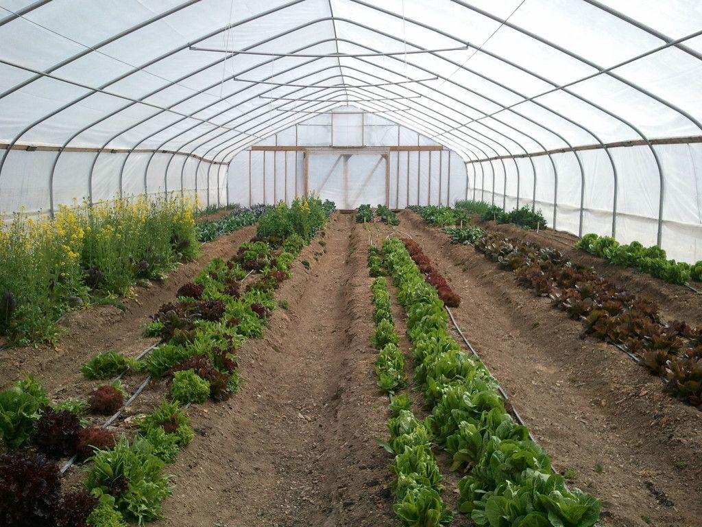 1024x768 S & H Farm