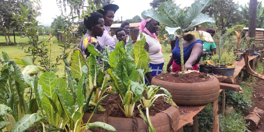 1024x512 Reducing Food Insecurity through