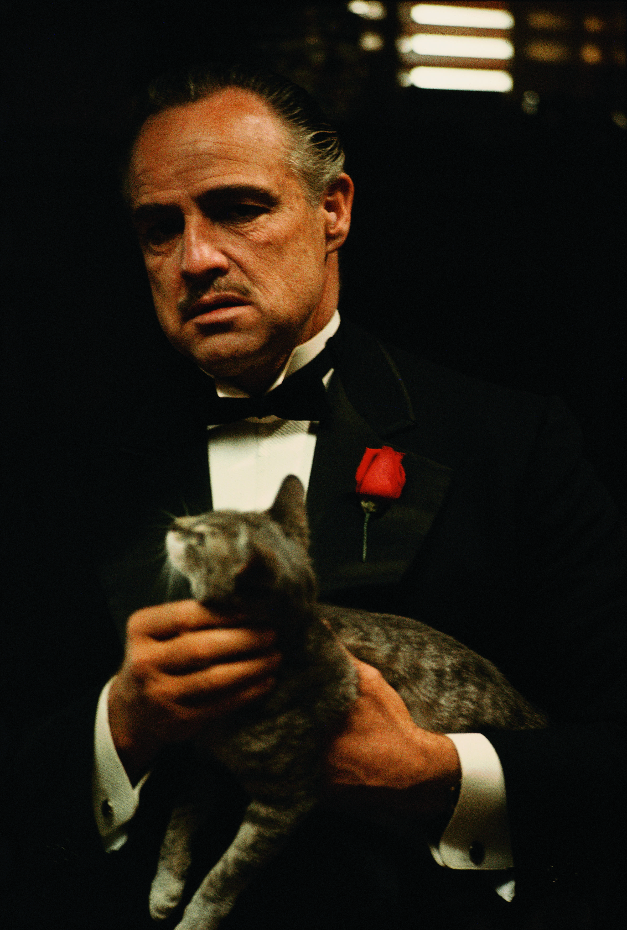 2387x3543 Pop Culture. BINARYTHIS