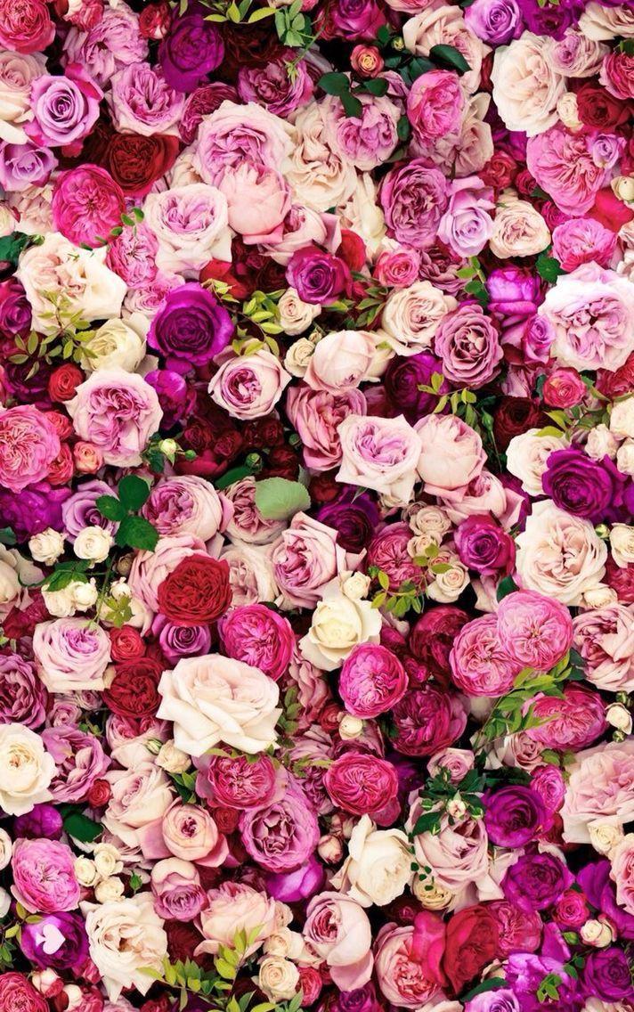 712x1136 Kate Spade Wallpaper