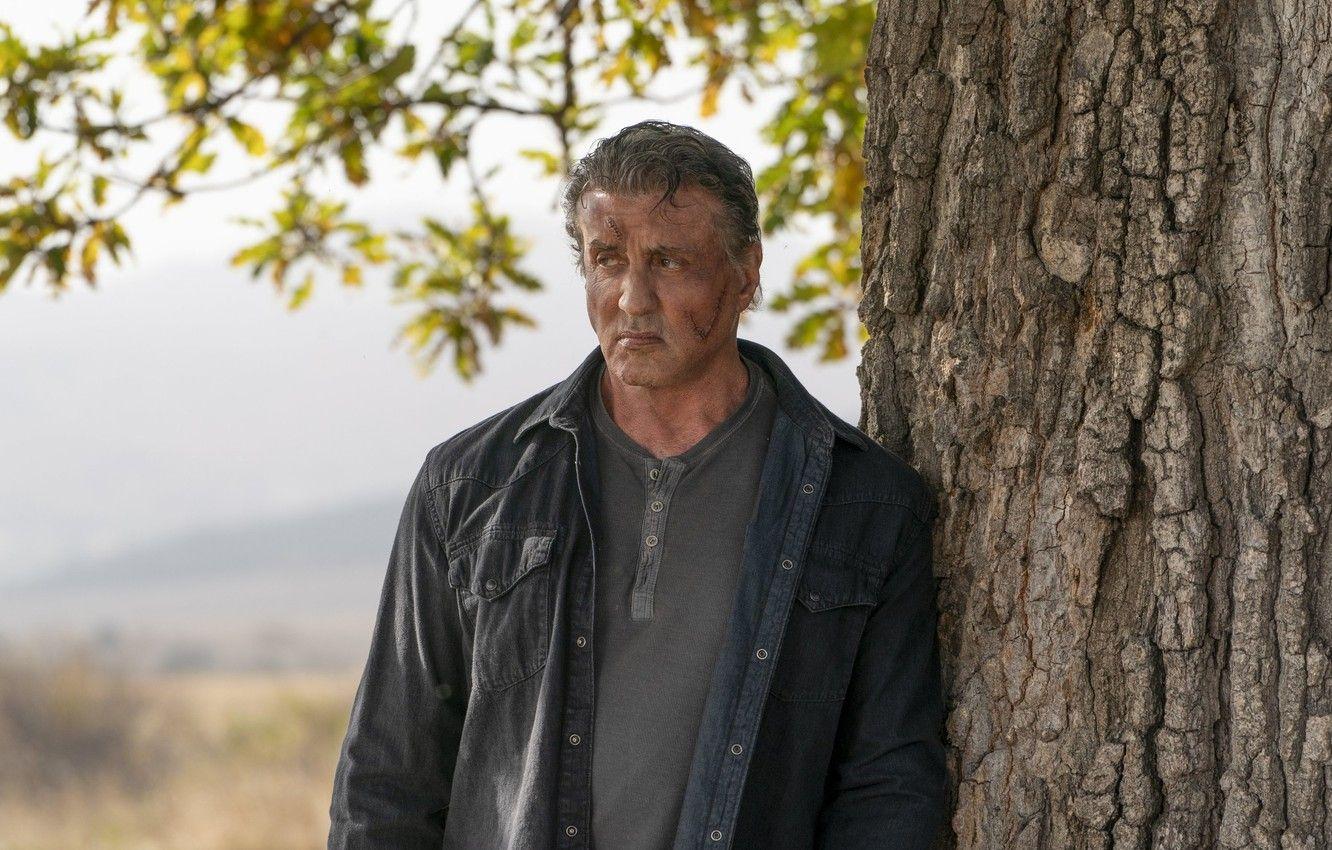 1332x850 Wallpaper look, pose, tree, Sylvester Stallone, Sylvester Stallone