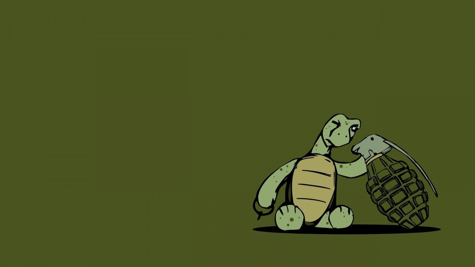 Animated Turtle Wallpapers - Top Free Animated Turtle Backgrounds