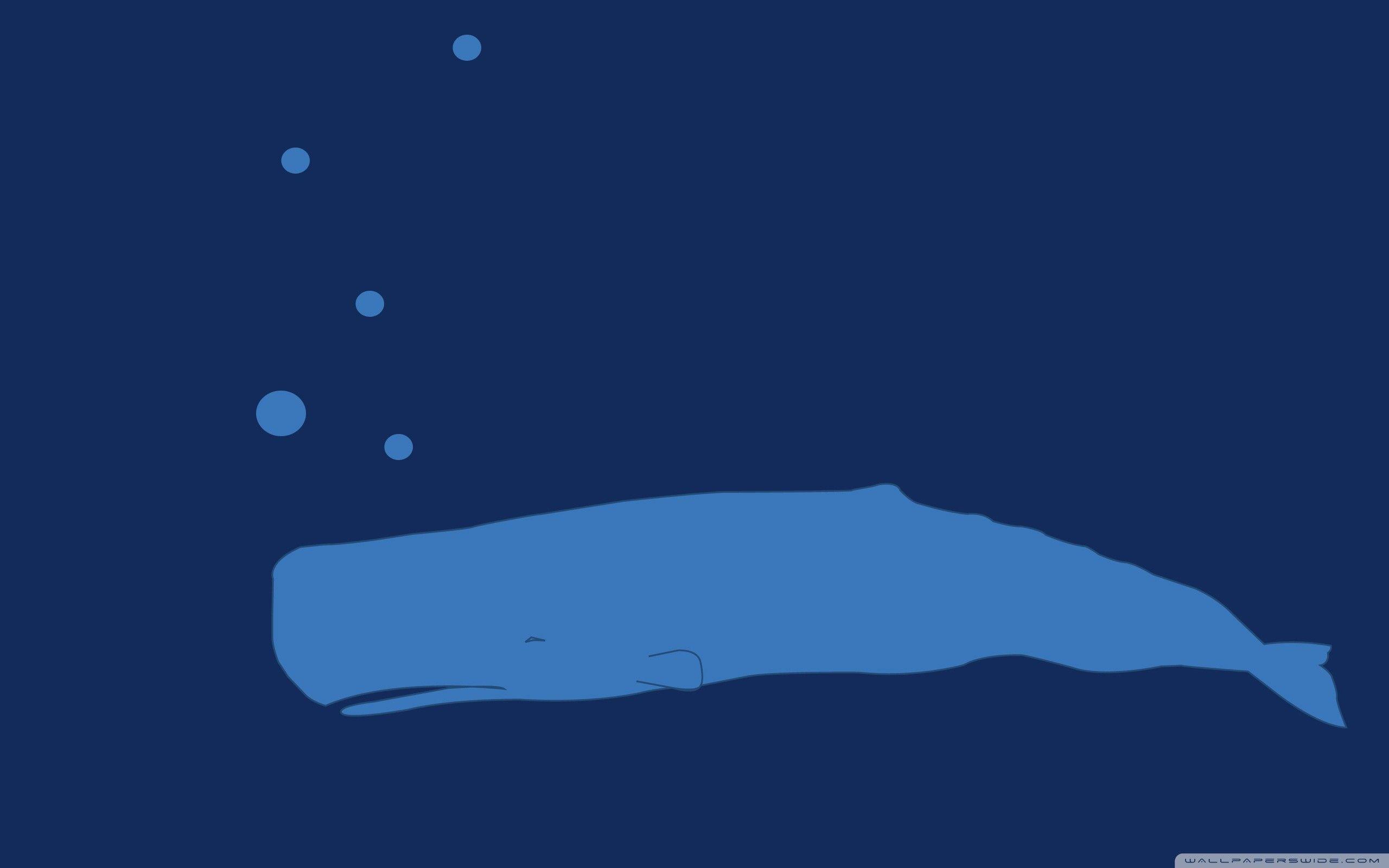 2560x1600 Whale Wallpaper