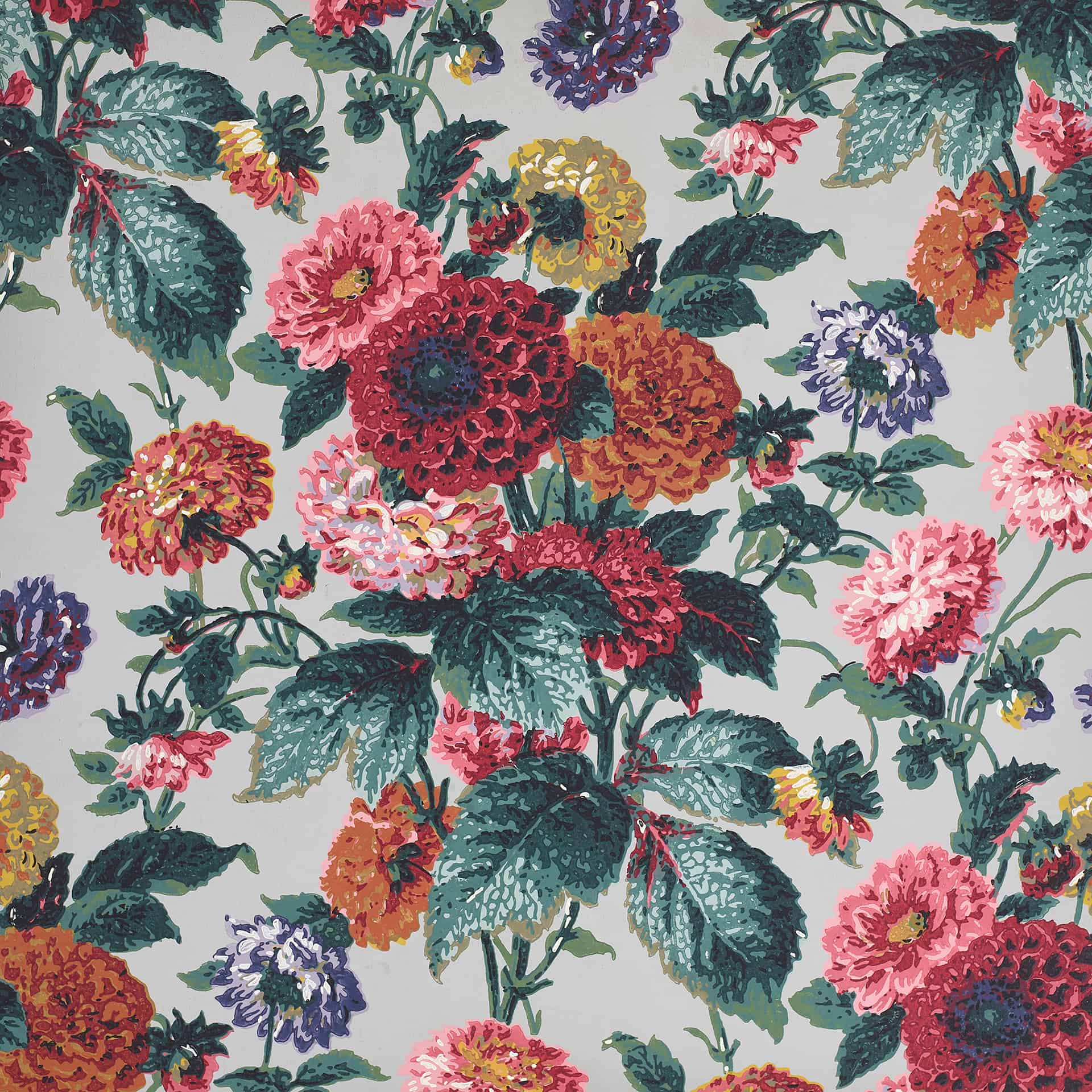 Dahlia Wallpapers - Top Free Dahlia Backgrounds - WallpaperAccess