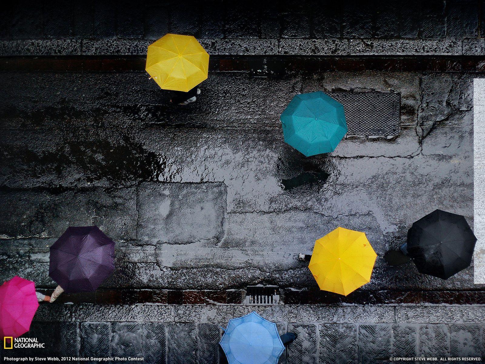 Rain Umbrella Wallpapers Top Free Rain Umbrella Backgrounds