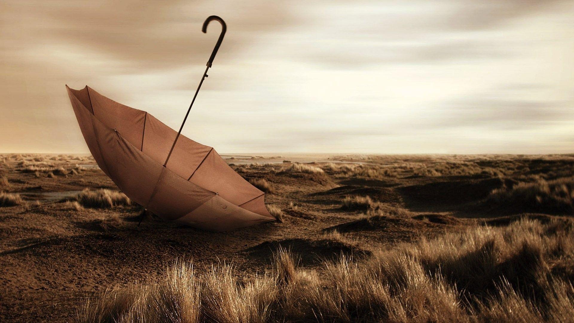 Rain Umbrella Wallpapers Top Free Rain Umbrella Backgrounds